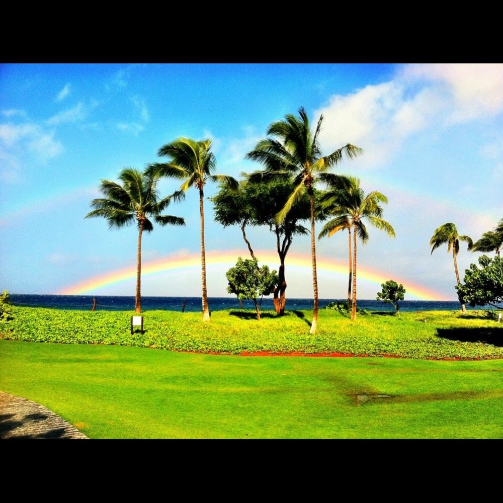 Meet your Posher, Miriam